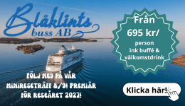 Blåklintsbuss