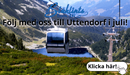 Blåklintsbuss