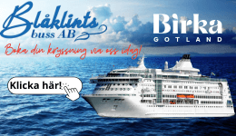 Blåklintsbuss - Birka
